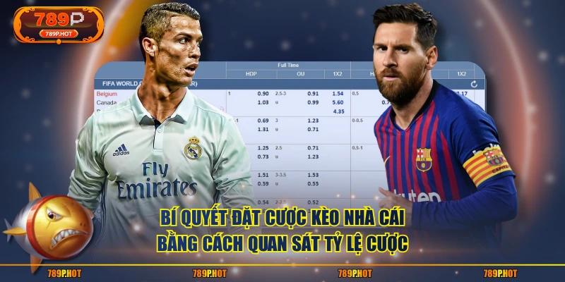 Bí quyết đặt cược kèo nhà cái bằng cách quan sát tỷ lệ cược