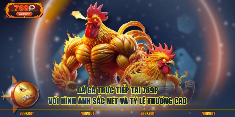 Đá gà trực tiếp tại 789P với hình ảnh sắc nét và tỷ lệ thưởng cao